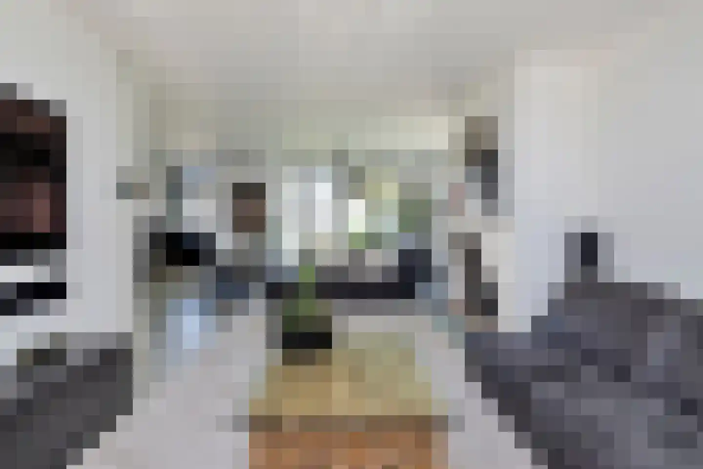 Aelbrechtsweg 14 Oostvoorne thumbnail 12