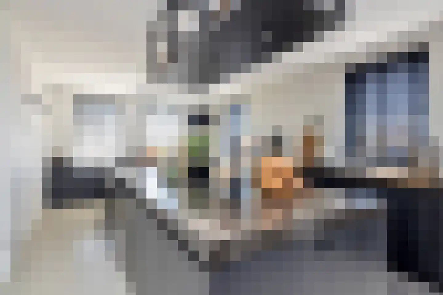 Aelbrechtsweg 14 Oostvoorne thumbnail 15