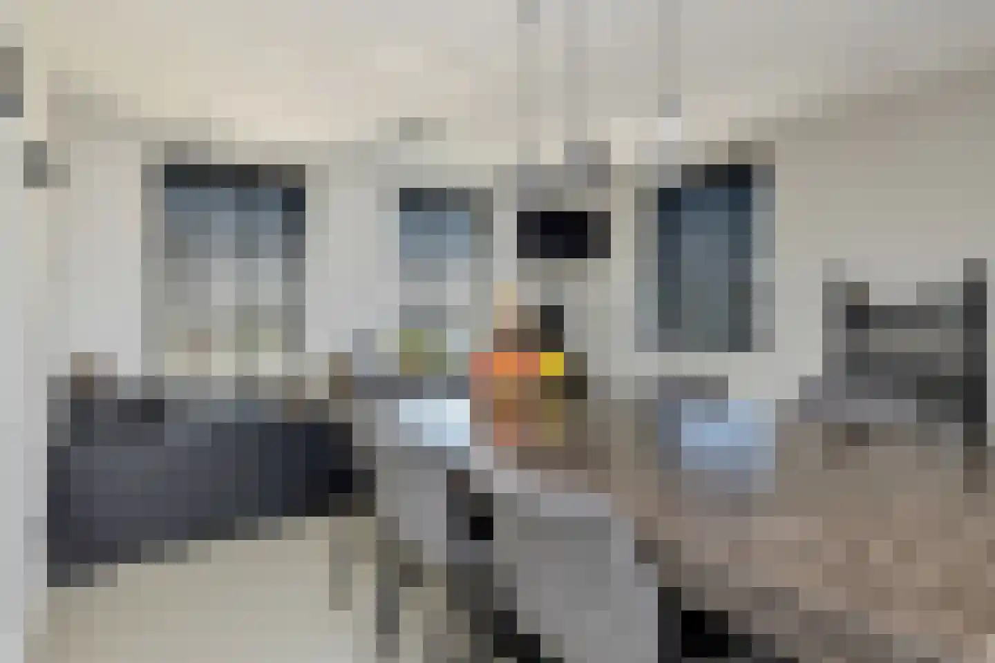 Aelbrechtsweg 14 Oostvoorne thumbnail 16