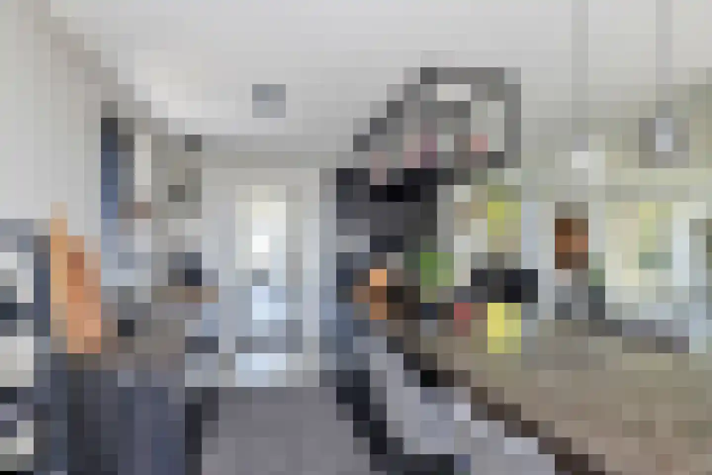 Aelbrechtsweg 14 Oostvoorne thumbnail 17