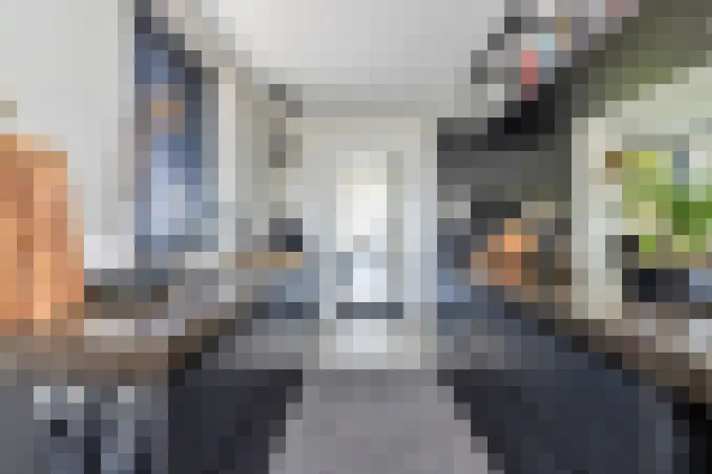 Aelbrechtsweg 14 Oostvoorne thumbnail 18
