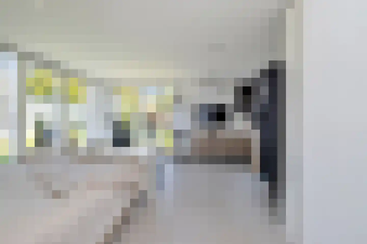 Aelbrechtsweg 14 Oostvoorne thumbnail 42