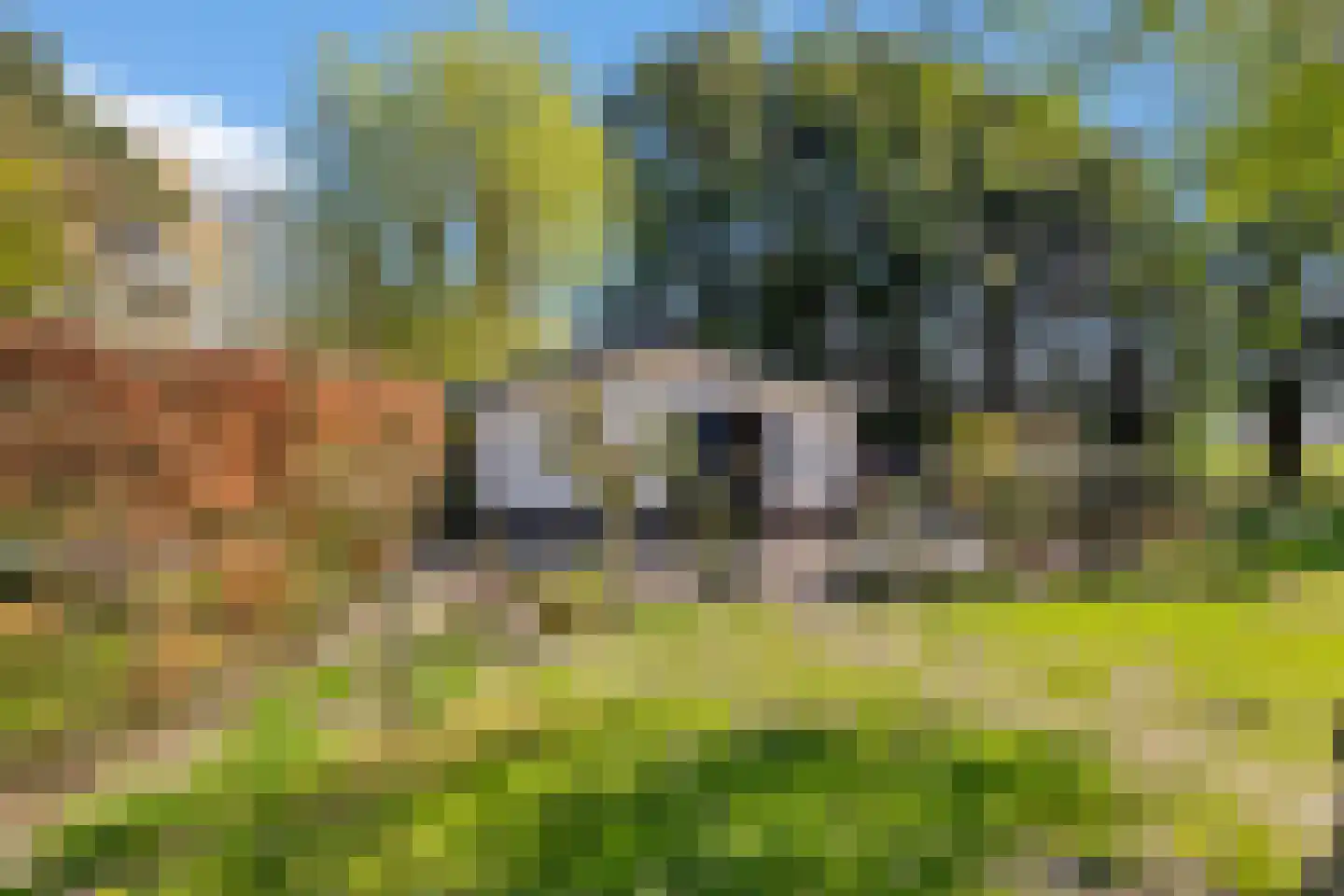 Aelbrechtsweg 14 Oostvoorne thumbnail 47