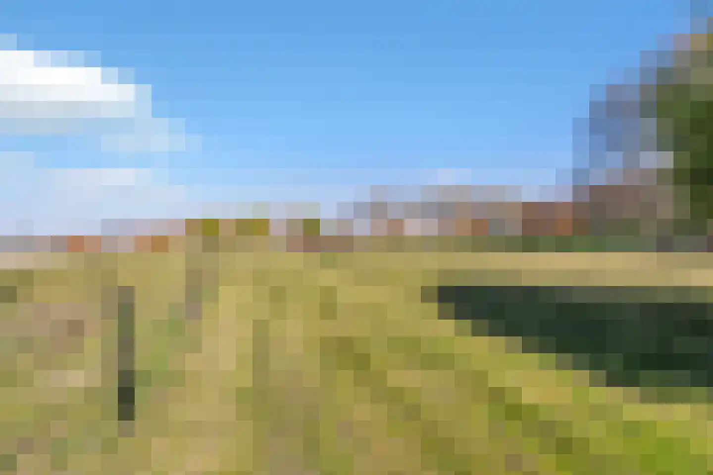 Aelbrechtsweg 14 Oostvoorne thumbnail 53