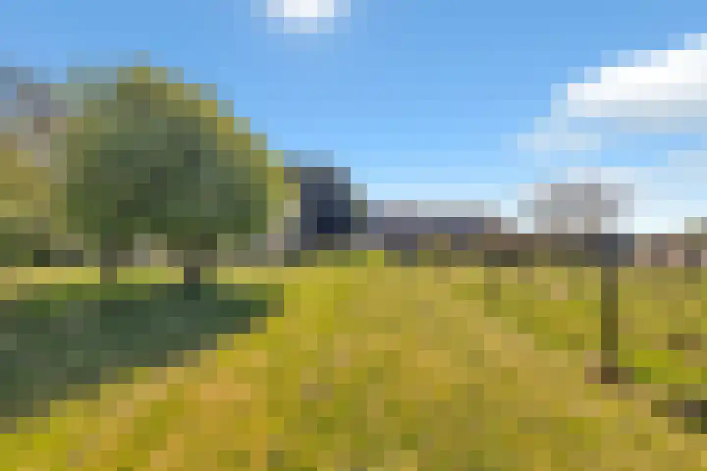 Aelbrechtsweg 14 Oostvoorne thumbnail 54