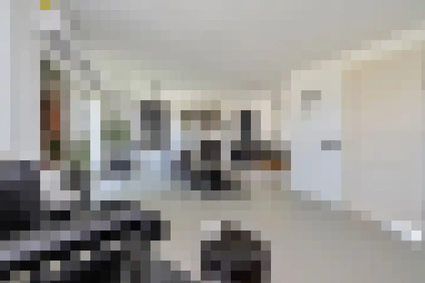 Aelbrechtsweg 14 Oostvoorne thumbnail 8