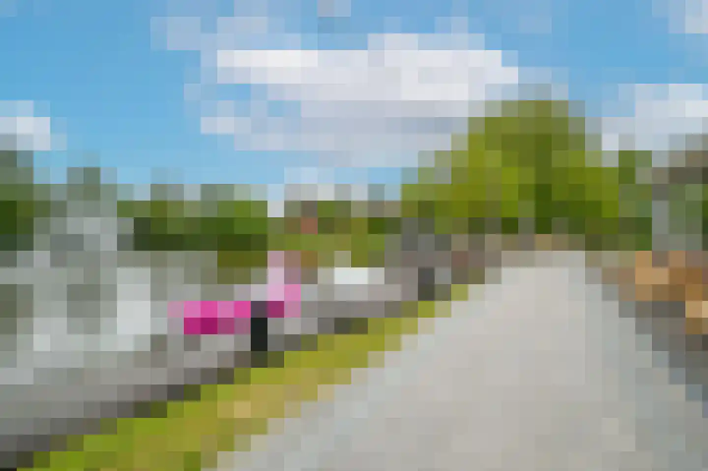 Aelderholt 1 150 Aalden thumbnail 20