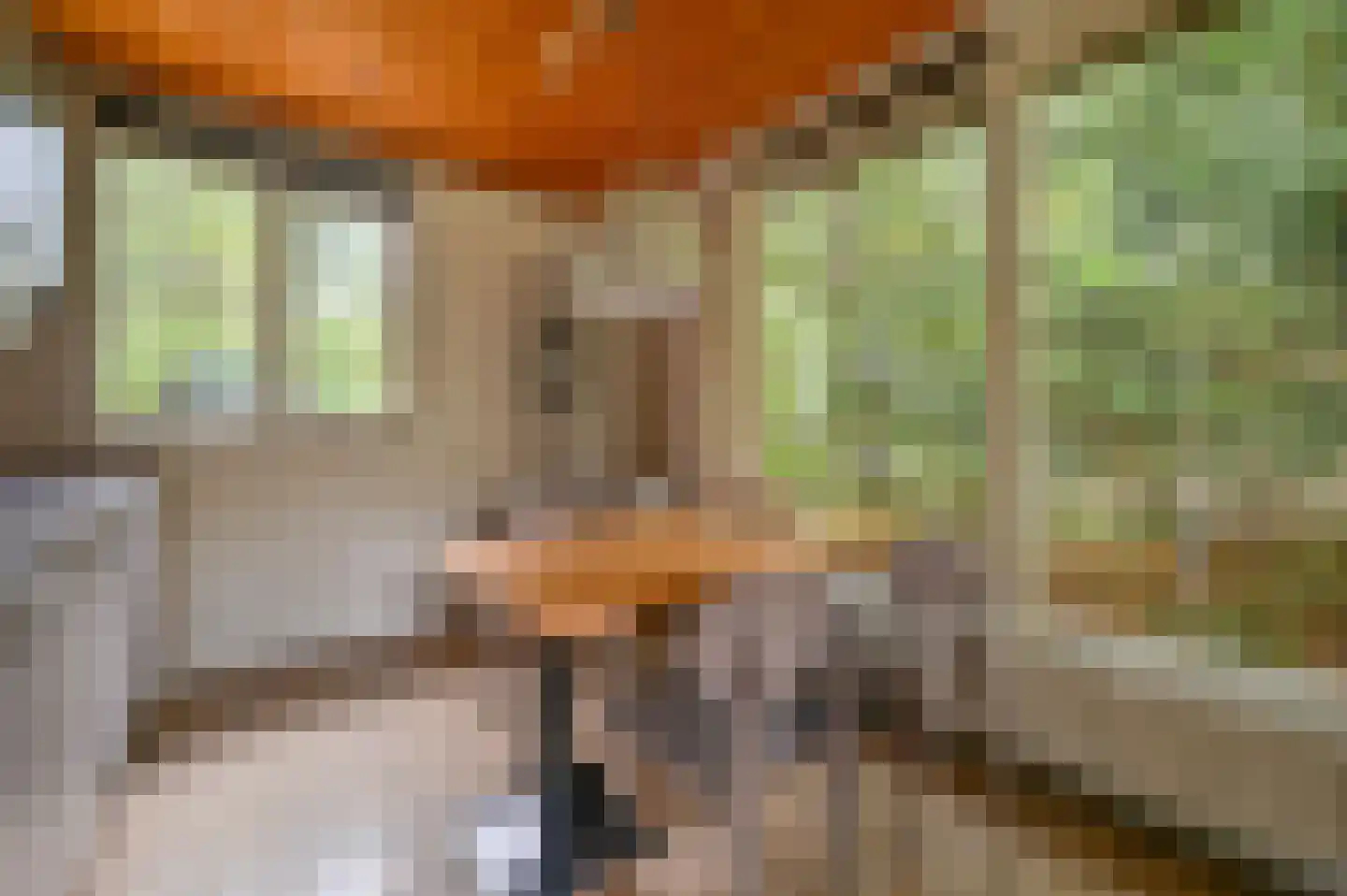 Aelderholt 1 150 Aalden thumbnail 8
