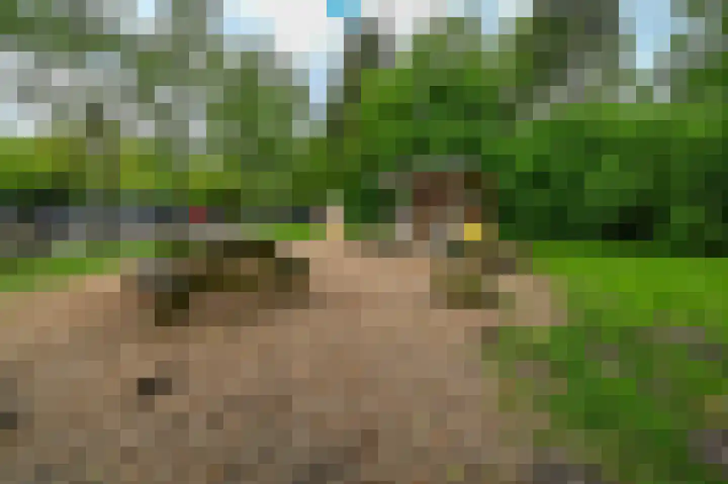 Aelderholt 1 168 Aalden thumbnail 18