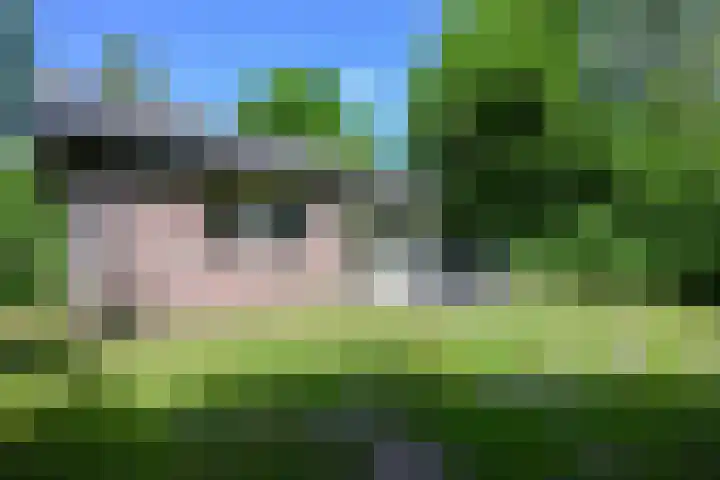 Aelderholt 1 H009 Aalden thumbnail 20