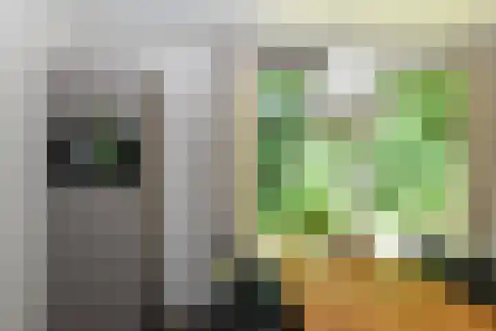 Aelderholt 1 H111 Aalden thumbnail 10
