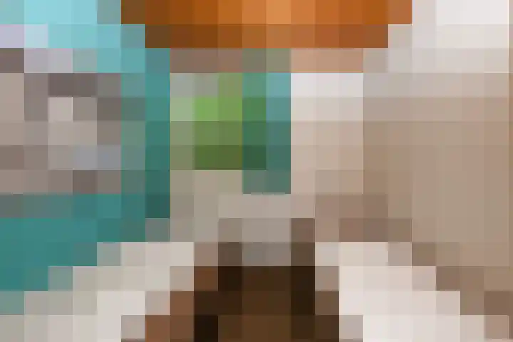 Aelderholt 1 H111 Aalden thumbnail 15