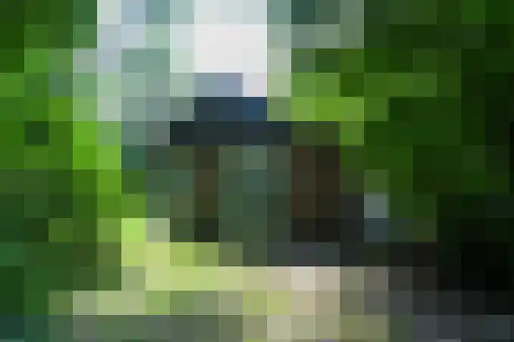 Aelderholt 1 H111 Aalden thumbnail 21