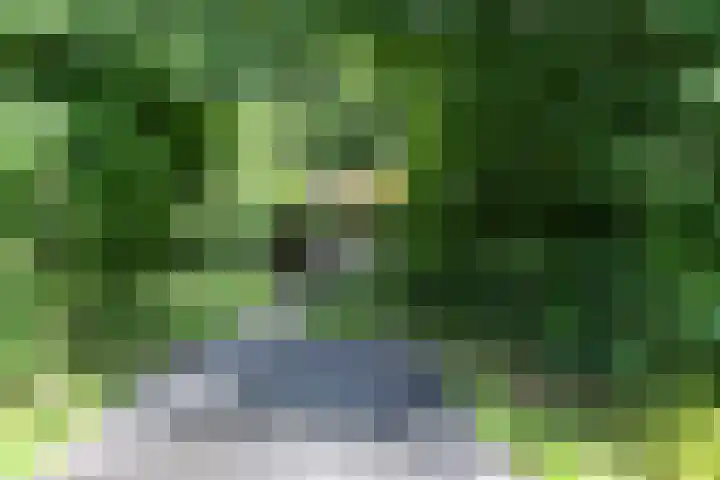 Aelderholt 1 H111 Aalden thumbnail 22