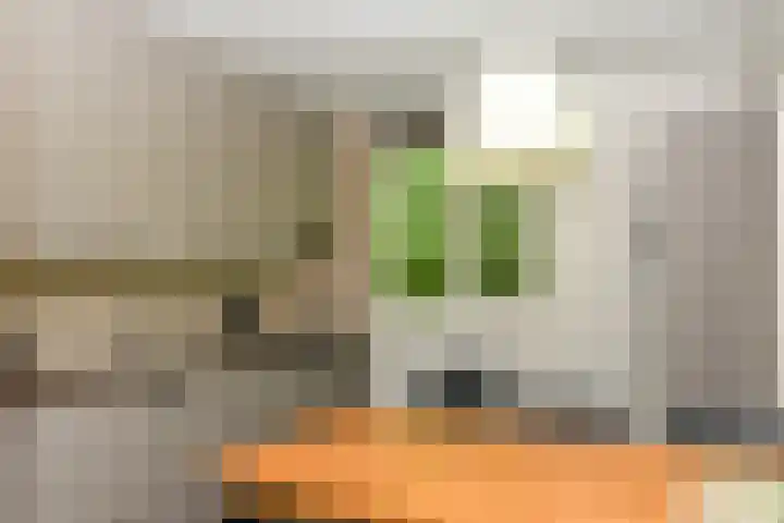 Aelderholt 1 H111 Aalden thumbnail 8