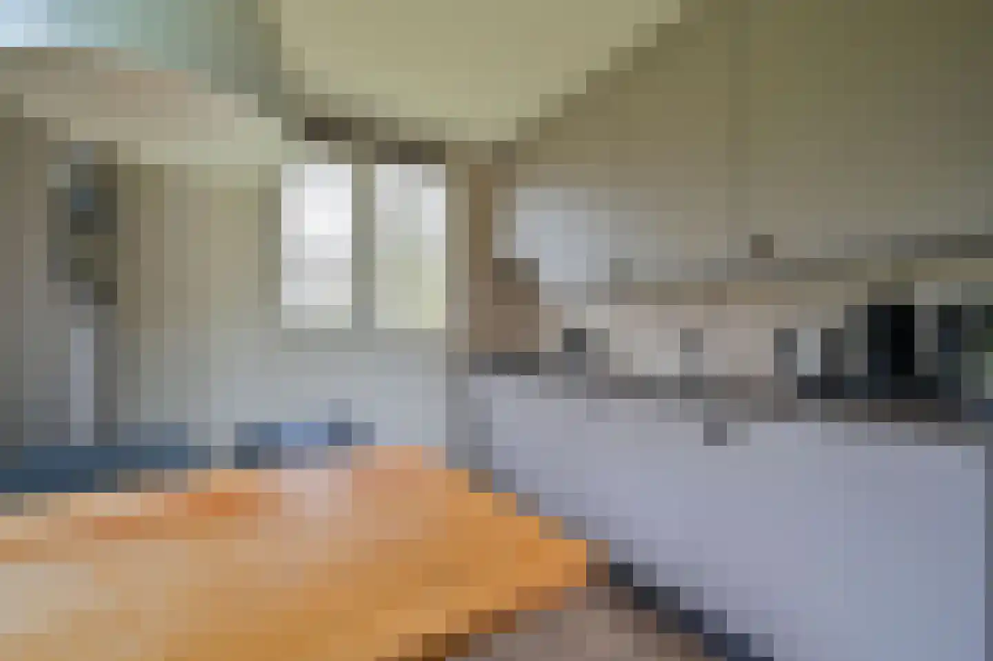 Aelderholt 1 H120 Aalden thumbnail 10