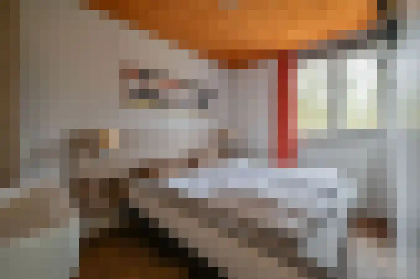 Aelderholt 1 H120 Aalden thumbnail 11