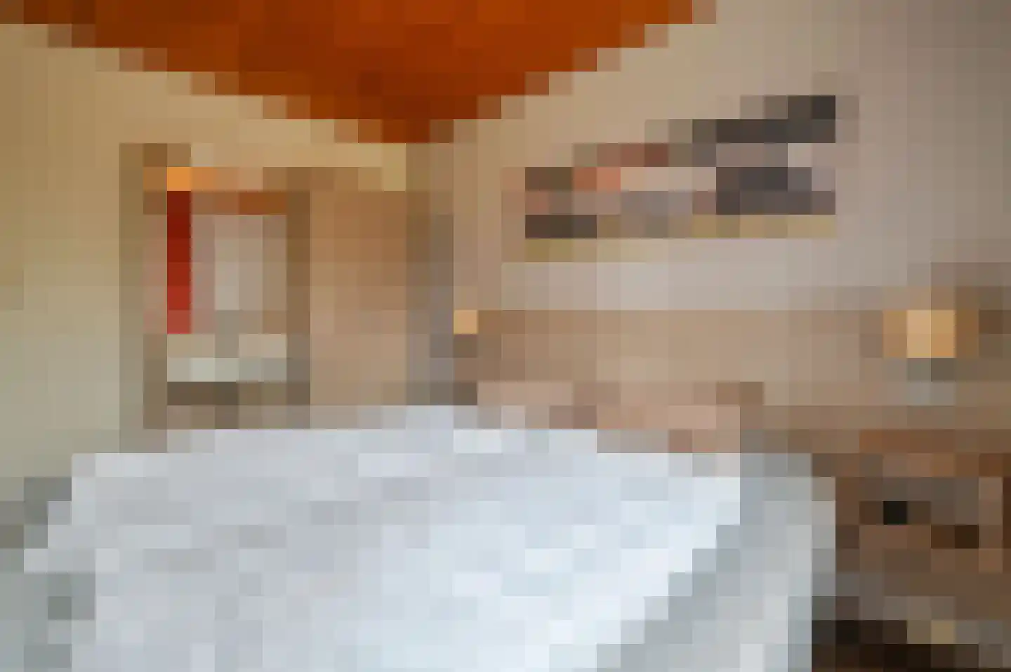 Aelderholt 1 H120 Aalden thumbnail 12