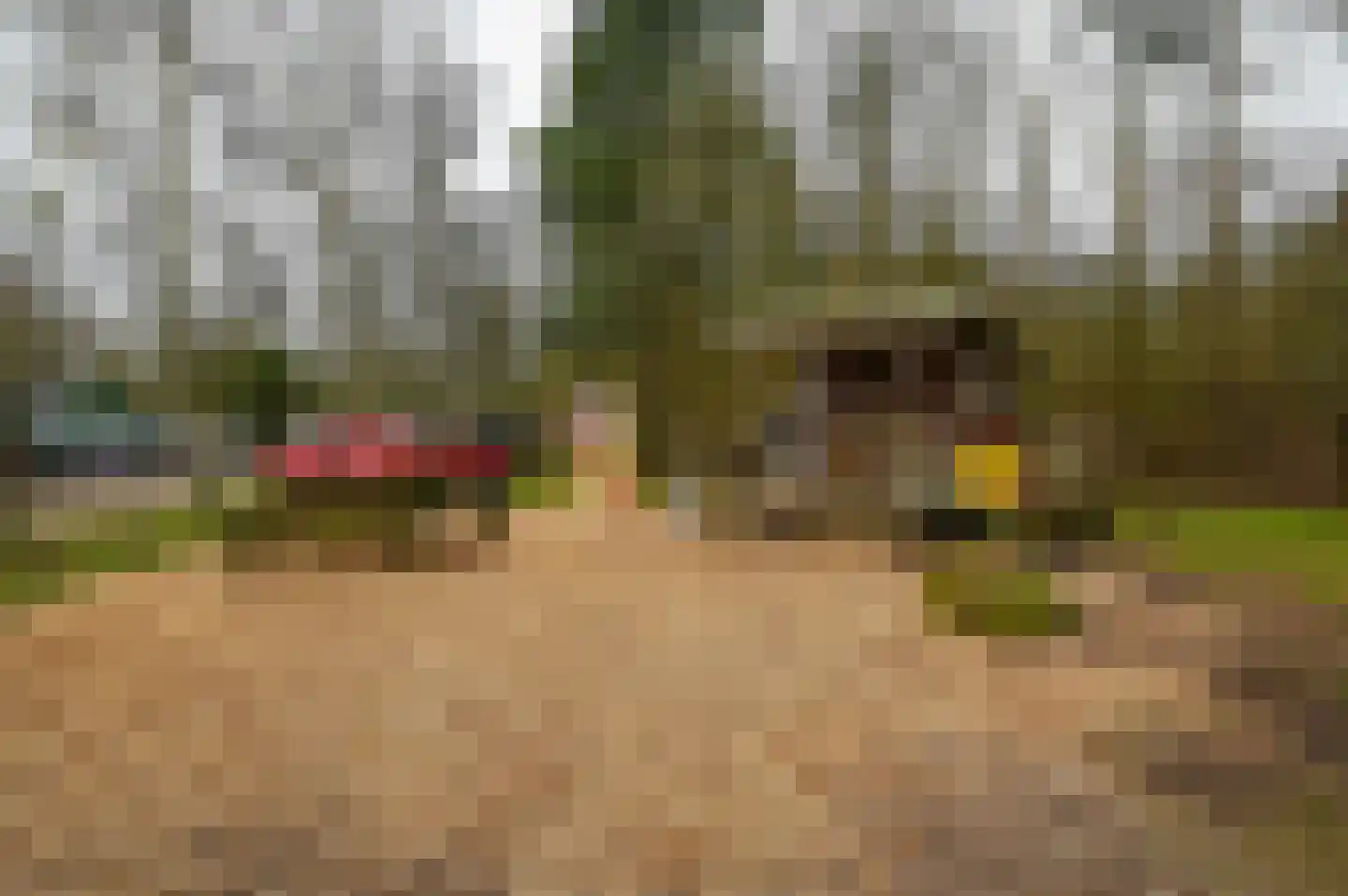 Aelderholt 1 H120 Aalden thumbnail 20