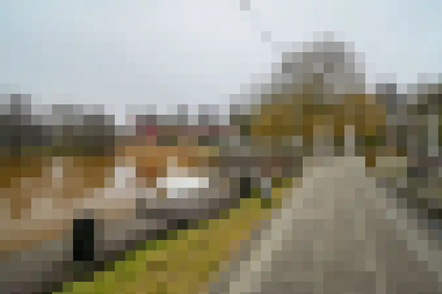 Aelderholt 1 H120 Aalden thumbnail 23