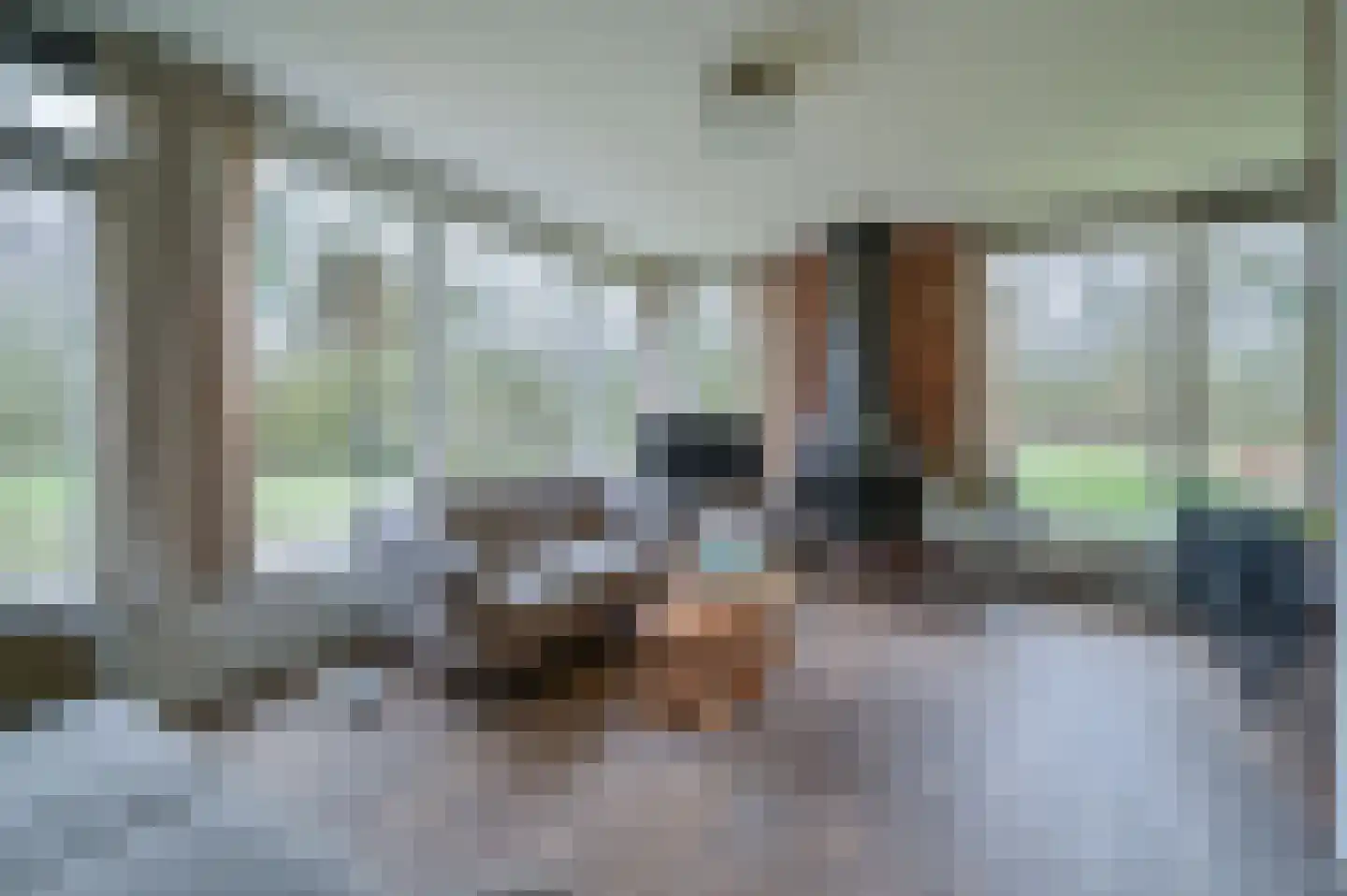 Aelderholt 1 H120 Aalden thumbnail 4