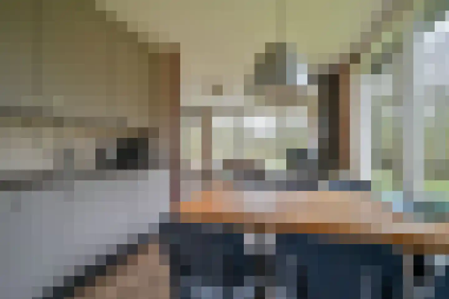 Aelderholt 1 H120 Aalden thumbnail 9