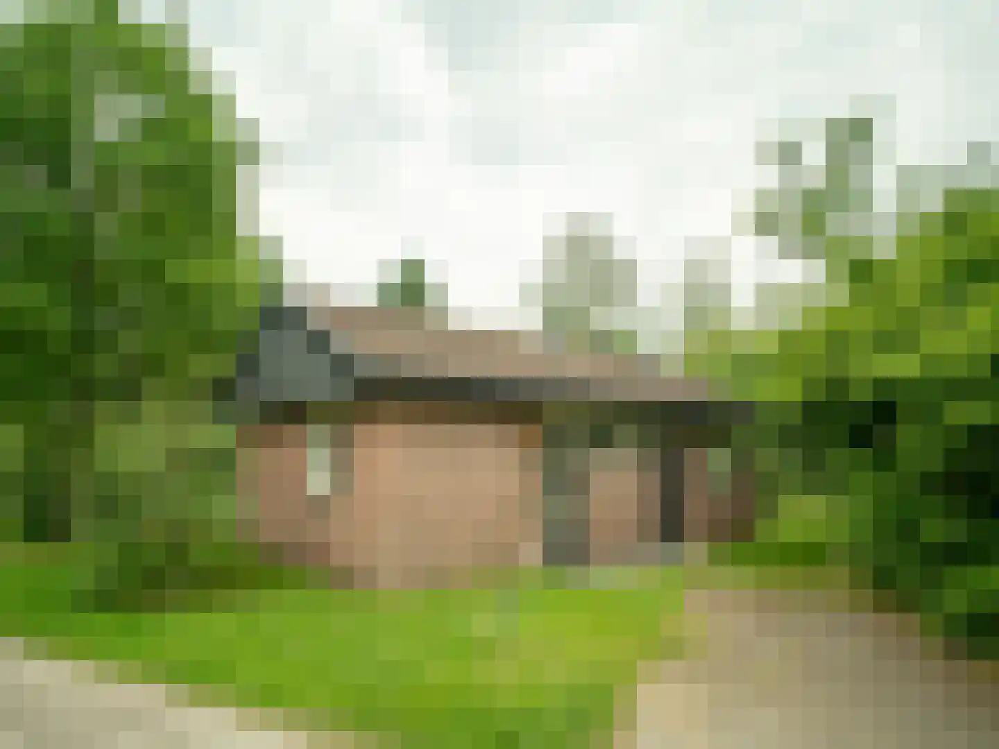 Aelderholt 1 H175 dans Aalden