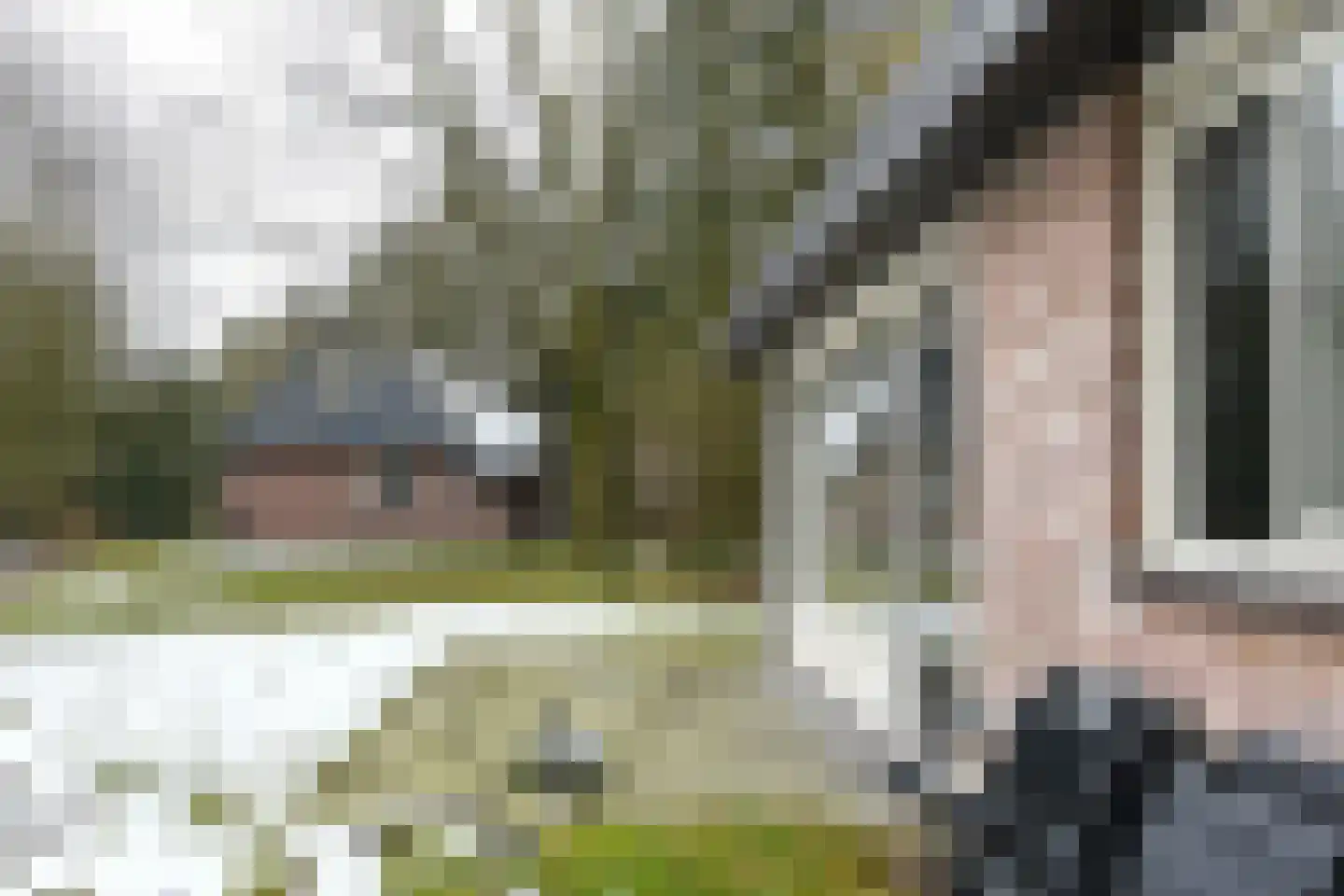 Aelderholt 1 H175 Aalden thumbnail 25