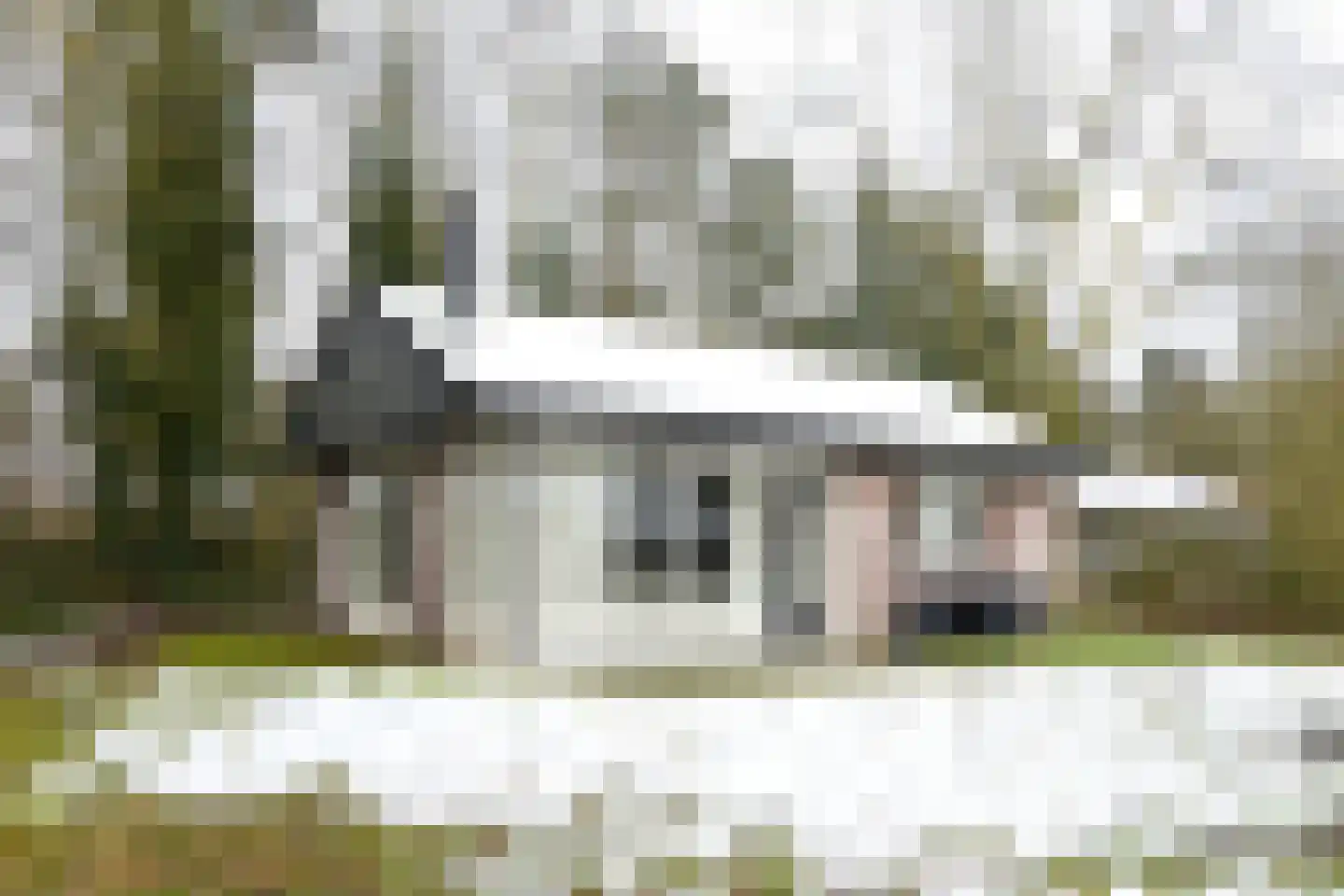 Aelderholt 1 H175 Aalden thumbnail 4