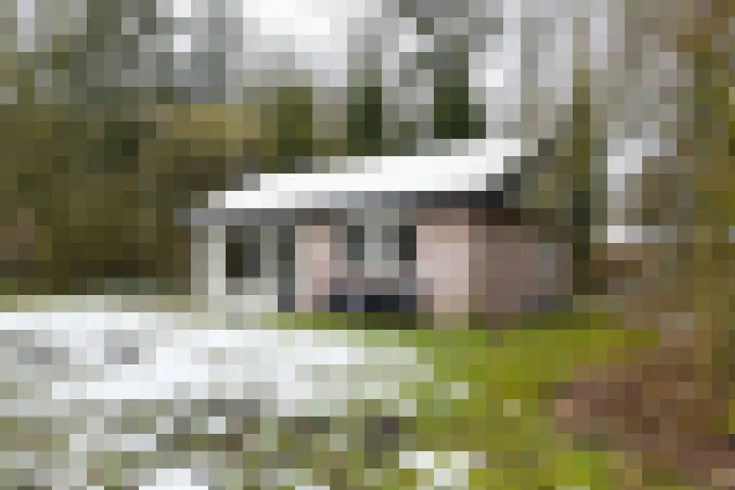 Aelderholt 1 H175 Aalden thumbnail 5