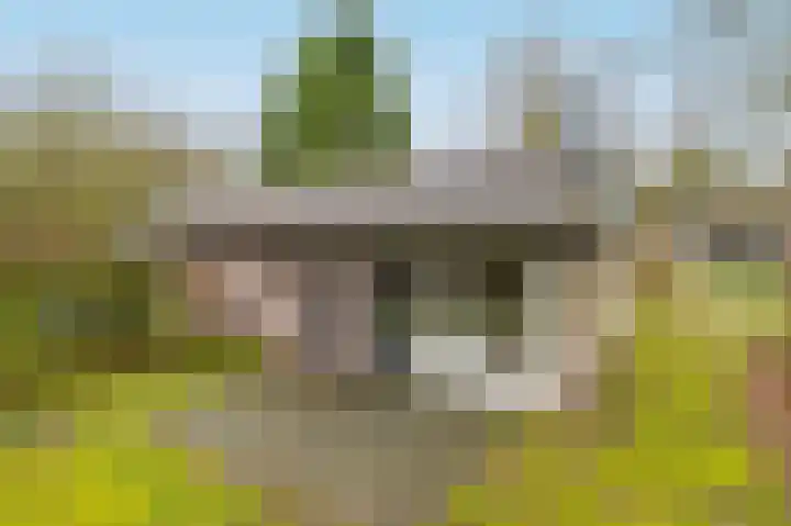 Aelderholt 1 H193 in Aalden