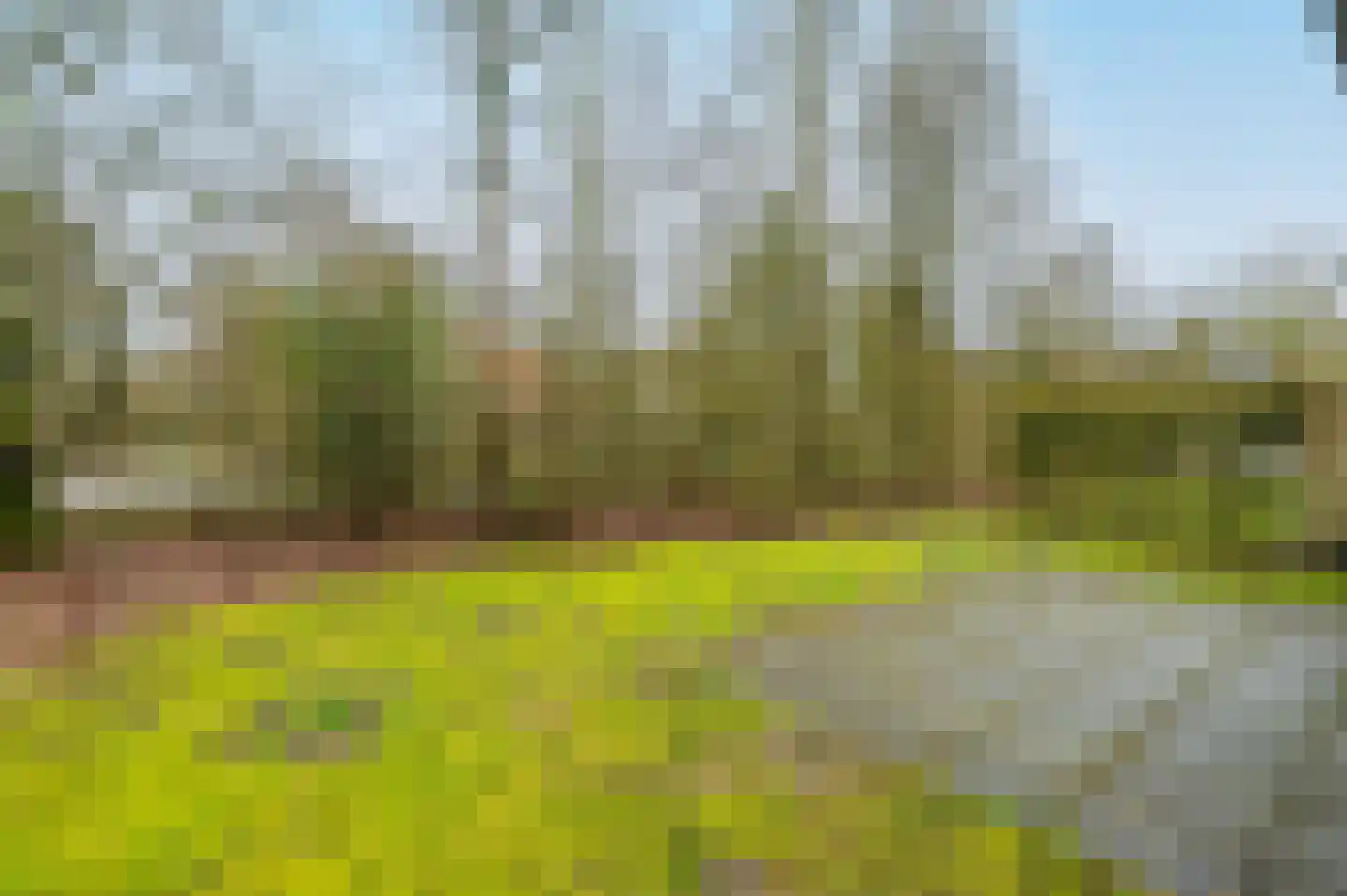 Aelderholt 1 H193 Aalden thumbnail 23
