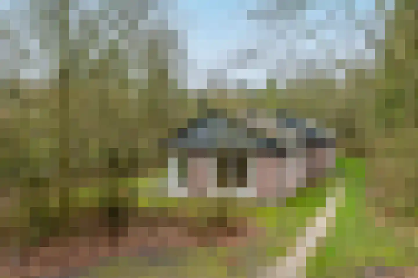 Aelderholt 1 H193 Aalden thumbnail 26