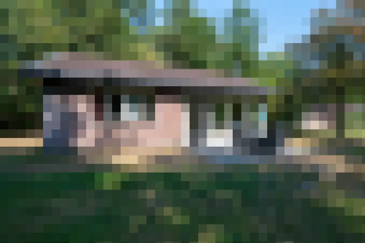 Aelderholt 1 H197 Aalden thumbnail 17