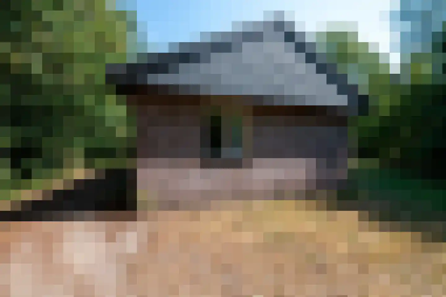 Aelderholt 1 H197 Aalden thumbnail 19