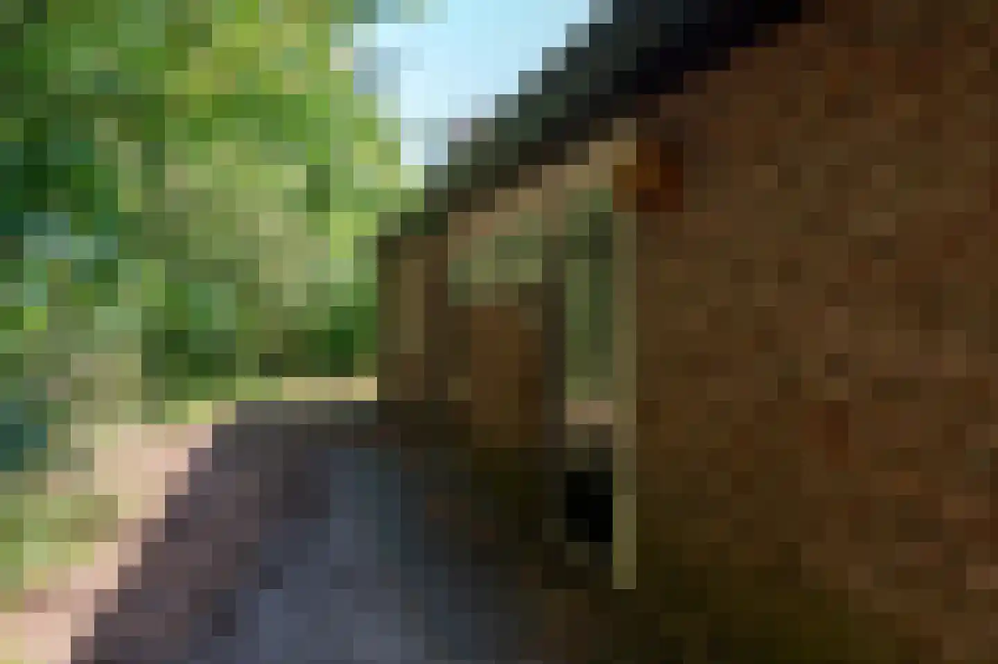 Aelderholt 1 H197 Aalden thumbnail 20