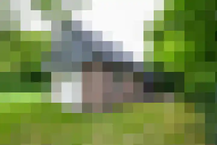 Aelderholt 1 H222 Aalden thumbnail 24
