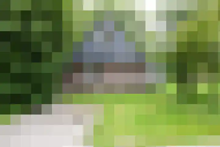 Aelderholt 1 H222 Aalden thumbnail 26