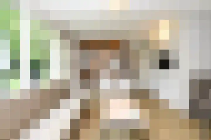 Aelderholt 1 H222 Aalden thumbnail 4