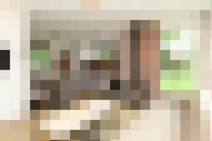 Aelderholt 1 H222 Aalden thumbnail 7