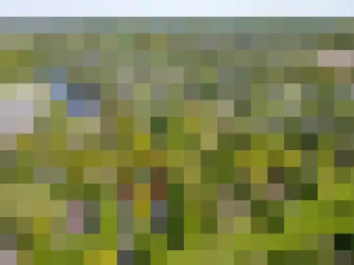 Aelderholt 1 H244 Aalden thumbnail 15