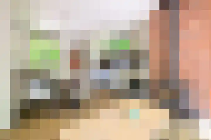 Aelderholt 1 H244 Aalden thumbnail 23