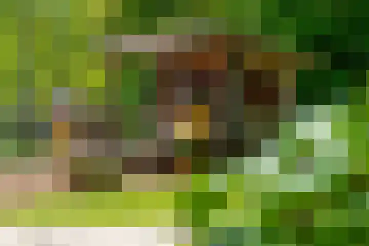 Aelderholt 1 H244 Aalden thumbnail 34