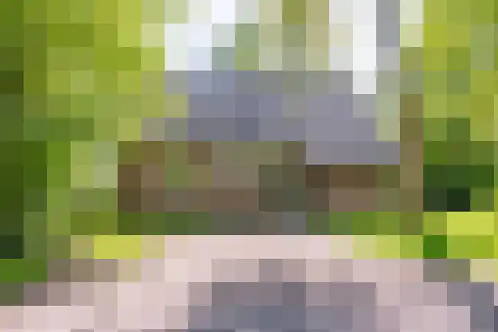 Aelderholt 1 H244 Aalden thumbnail 5