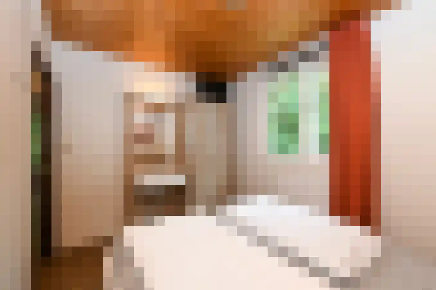 Aelderholt 1 H249 Aalden thumbnail 10