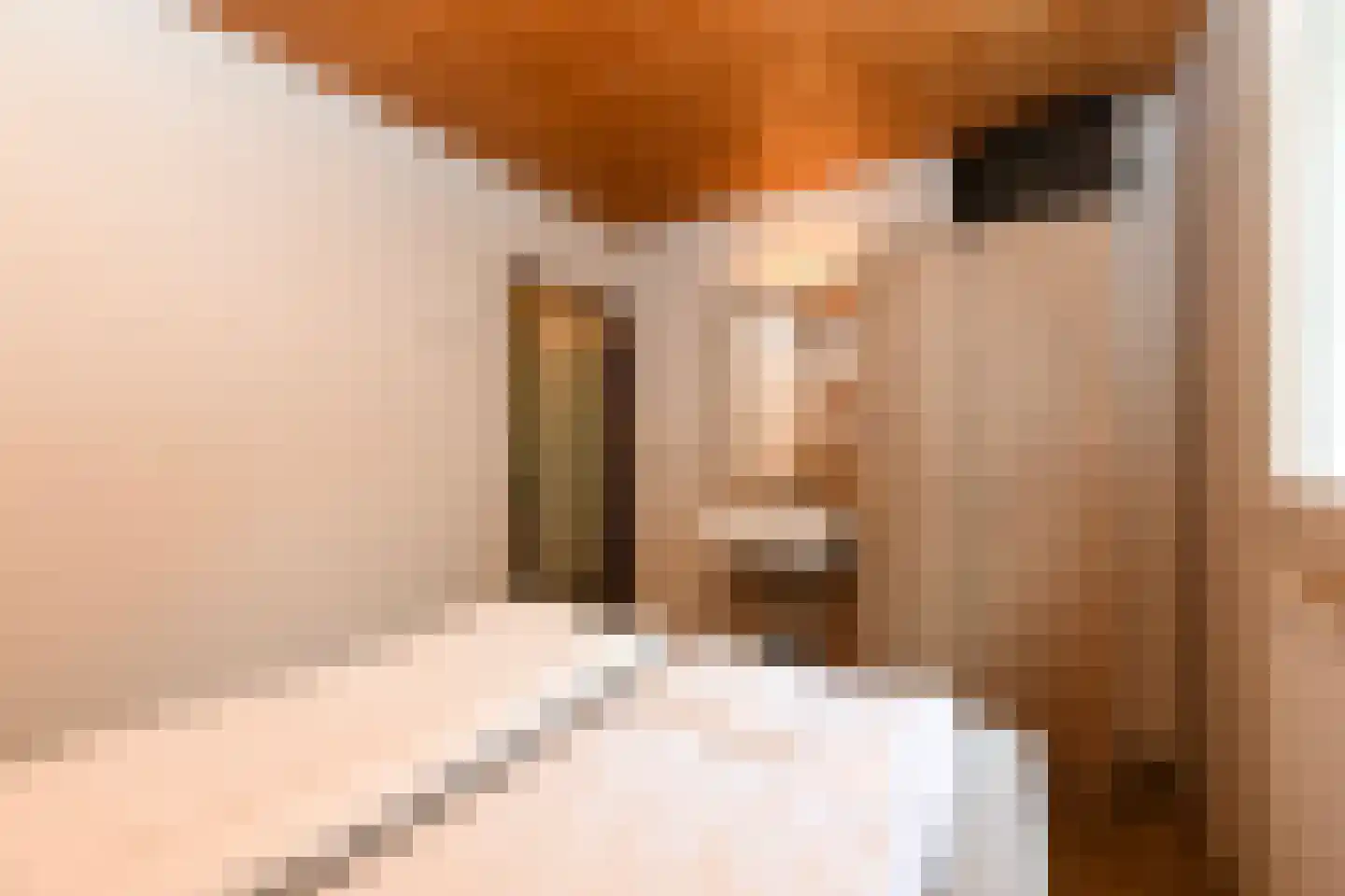Aelderholt 1 H249 Aalden thumbnail 11