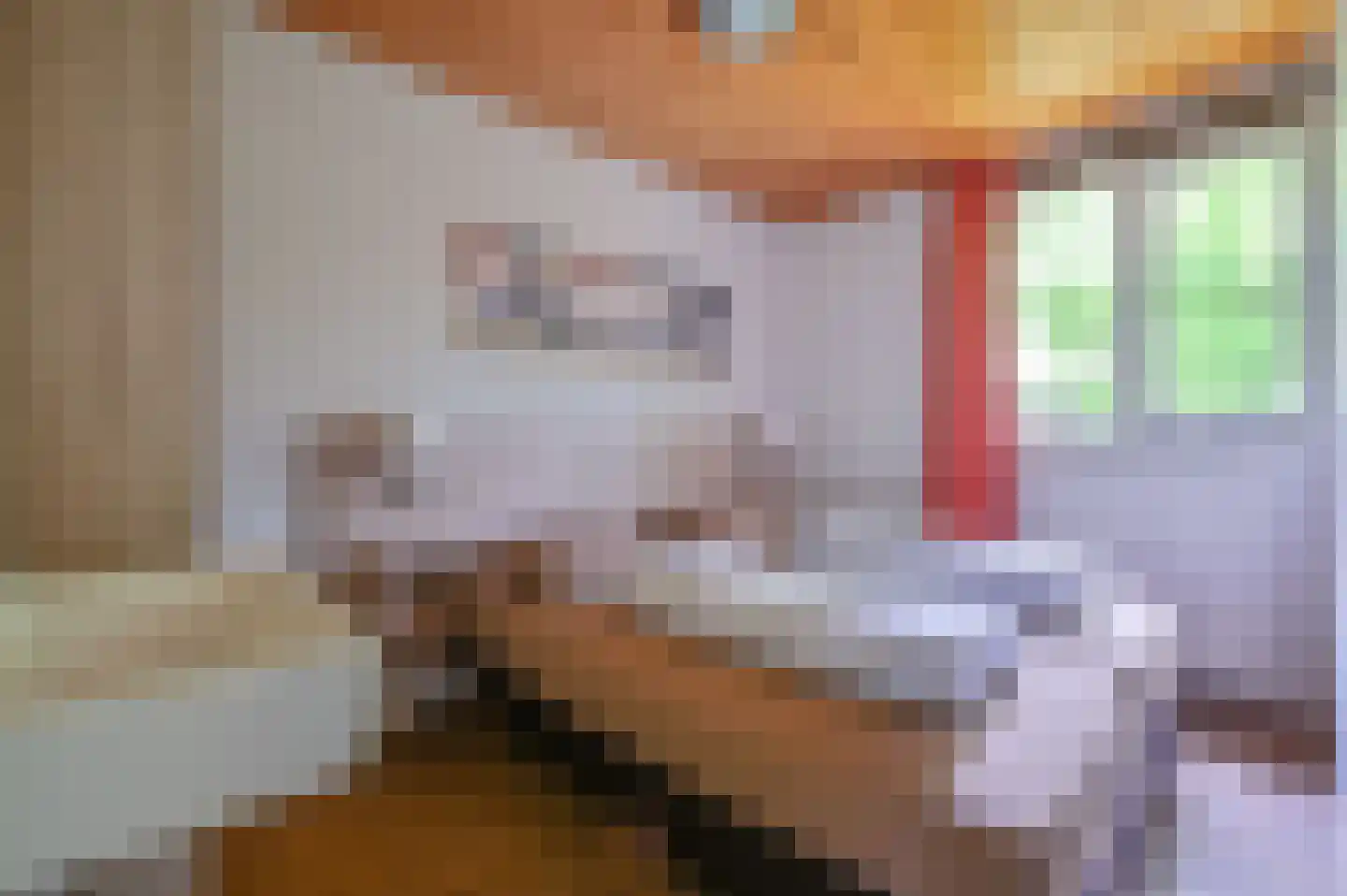 Aelderholt 1 H249 Aalden thumbnail 11