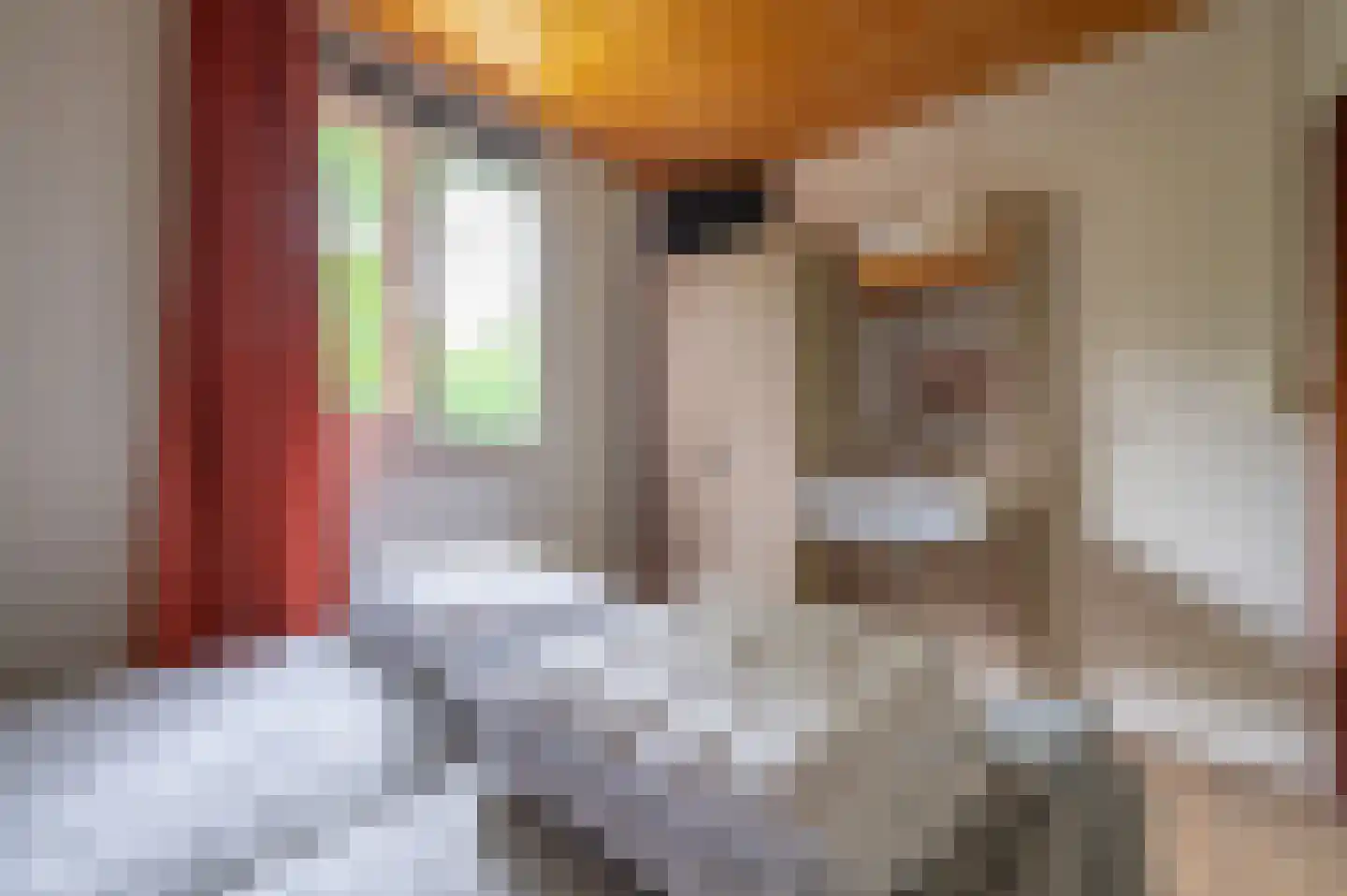 Aelderholt 1 H249 Aalden thumbnail 13