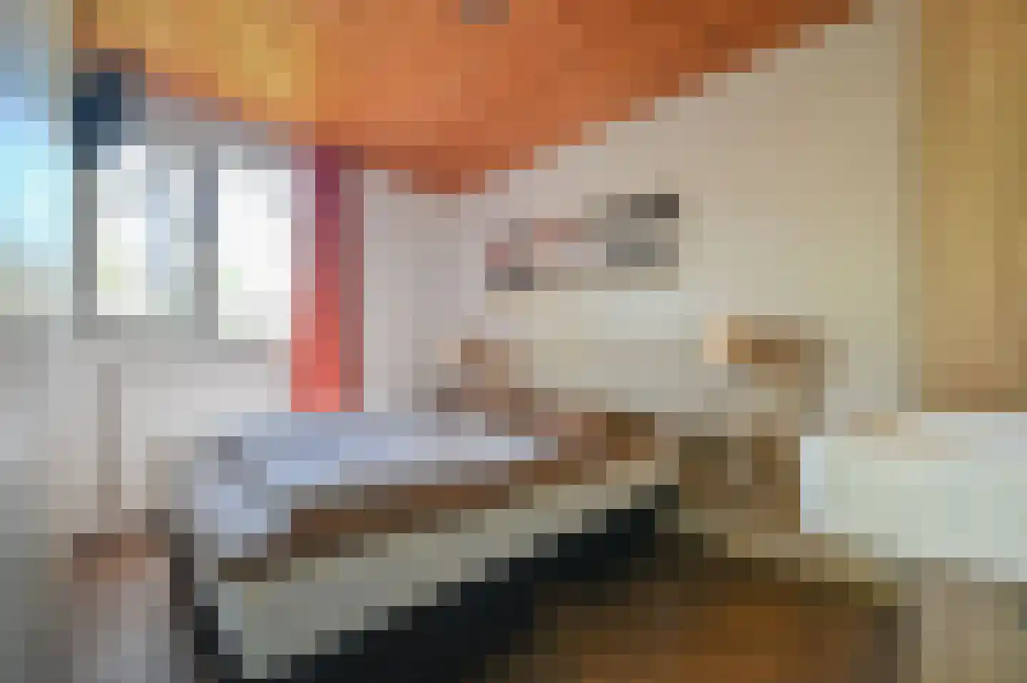 Aelderholt 1 H249 Aalden thumbnail 14
