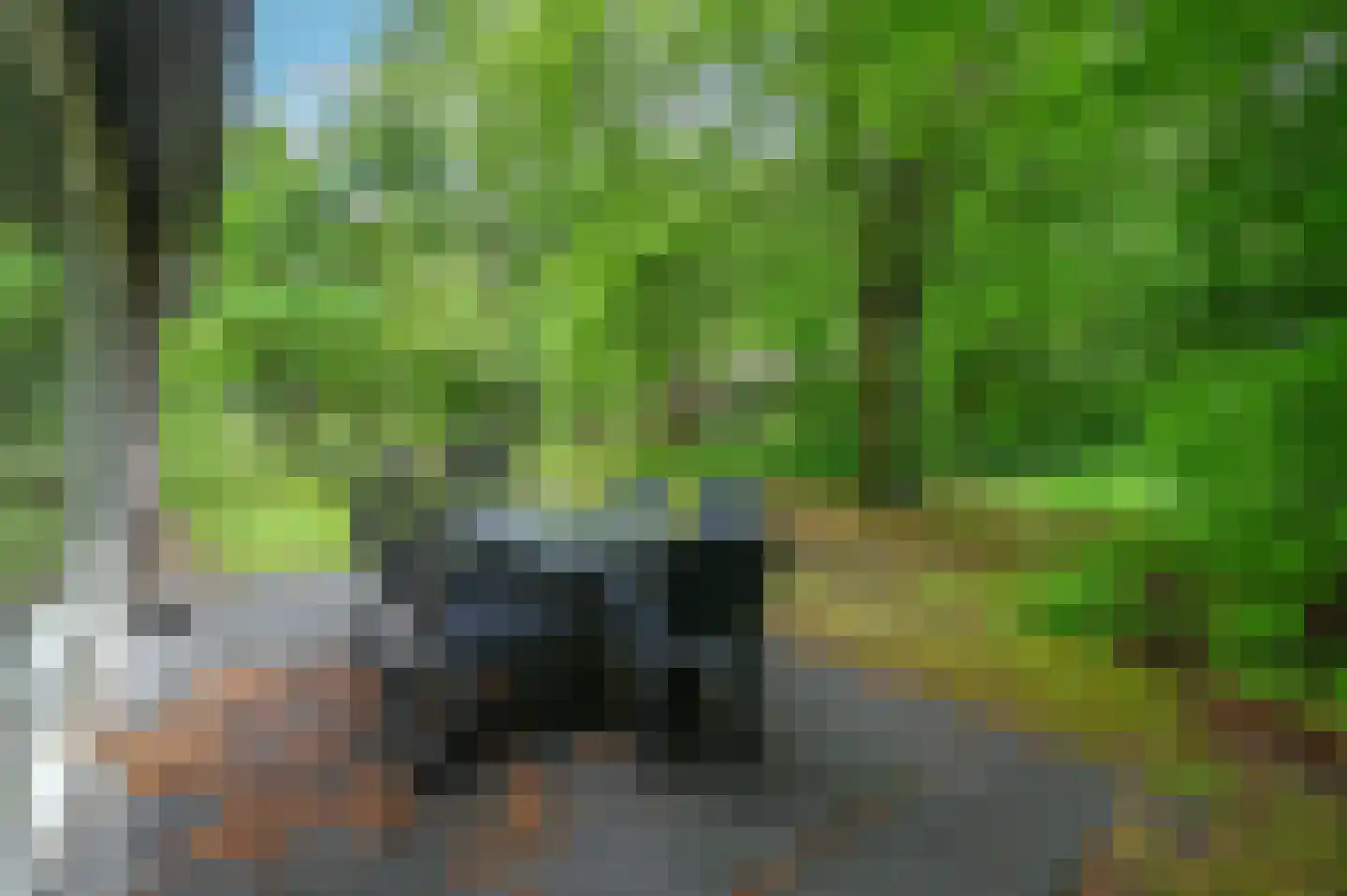 Aelderholt 1 H249 Aalden thumbnail 15
